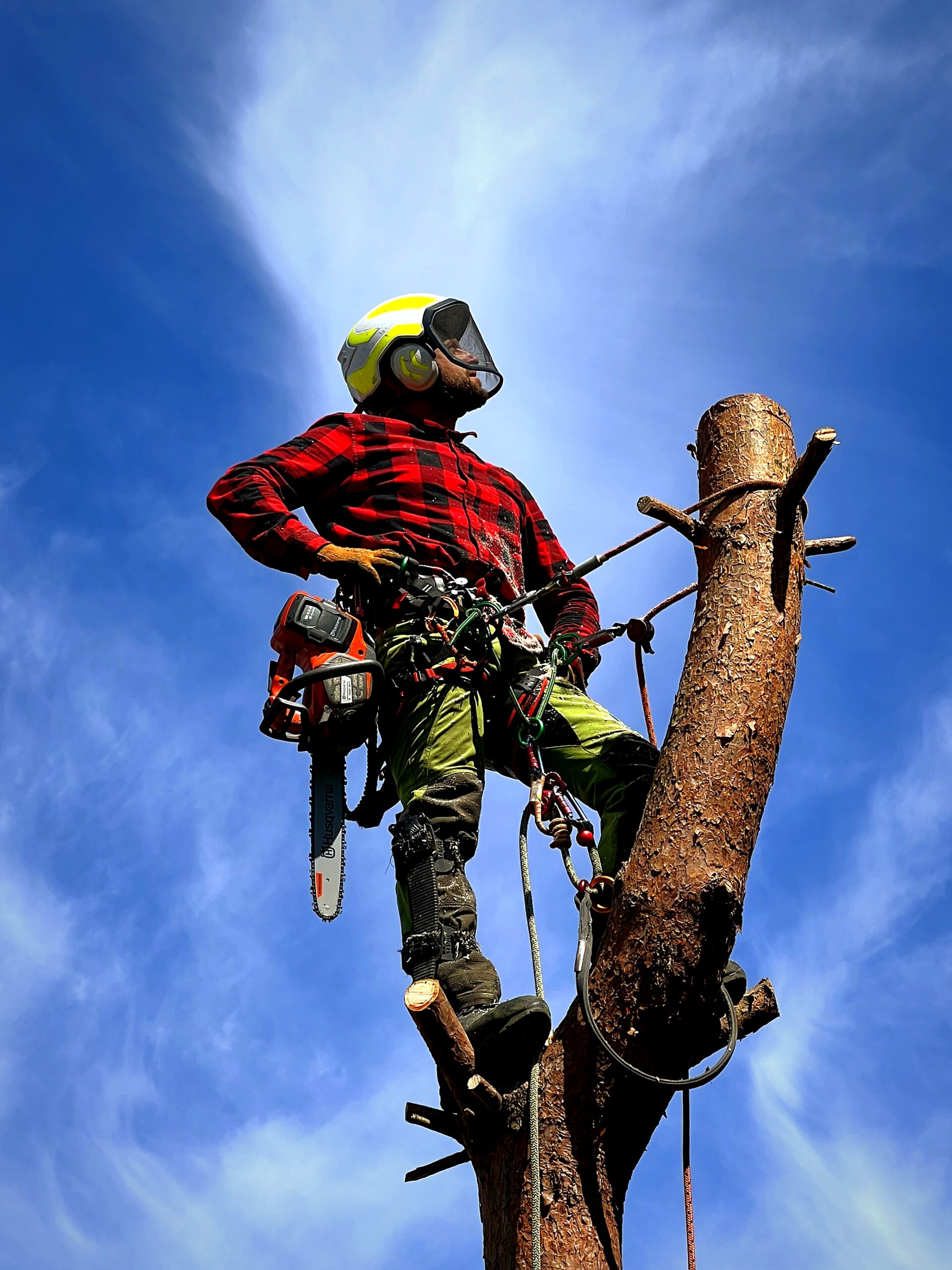 Arborysta w kasku i czerwonej koszuli w kratę stoi na przyciętym pniu drzewa z piłą mechaniczną przy pasie. Na tle błękitnego nieba widać jego sylwetkę w pełnym ekwipunku zabezpieczającym.